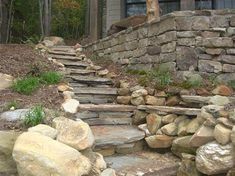 stone steps leading up to a house in the woods