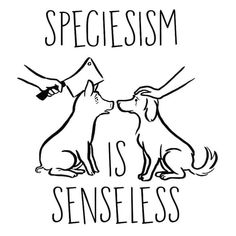 a black and white drawing of two dogs with the words, speciesism is senseless