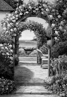 a black and white photo of a garden with flowers on the arch, benches in the foreground