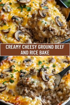 Looking for a comforting dinner? This Creamy Cheesy Ground Beef and Rice Bake combines tender ground beef, fluffy rice, and melted cheese in one dish for a rich, savory meal. Ideal for busy nights or cozy family dinners. Save this recipe for a delicious meal anytime! #BeefAndRice #CheesyDishes #DinnerIdeas #QuickMeals #CasseroleRecipes Ground Beef And Orzo, Beef And Orzo, Ground Meat And Rice, Cheesy Ground Beef And Rice, Cheesy Ground Beef, Ground Beef And Rice, Rice Bake, Comforting Dinner, Fluffy Rice