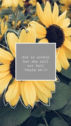 yellow sunflowers with a bible verse about god's within her she will not fail him