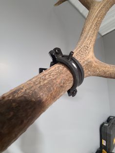 an antler is mounted to the side of a wall