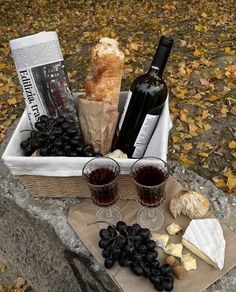 two glasses of wine, bread and cheese are sitting on a rock in front of leaves