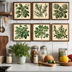 herbs and spices are displayed on the wall in this kitchen