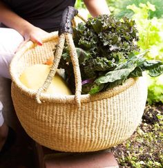 a person holding a basket full of vegetables