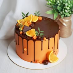 a cake with oranges and chocolate drizzled on it sitting next to a potted plant