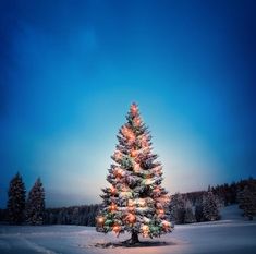 a lit up christmas tree in the snow