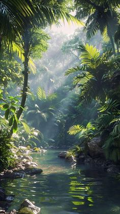 the sun shines through the trees and leaves on the water in this tropical scene