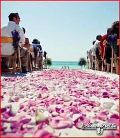 people sitting on chairs in front of the ocean with petals scattered all over the ground