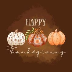 a happy thanksgiving card with pumpkins and leaves on the front, in brown background