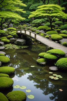 a wooden bridge over a small pond surrounded by green plants