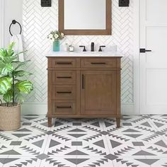 a bathroom with a potted plant on the floor and a mirror over the sink