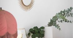 some plants are sitting on a shelf in front of a mirror and other decor items