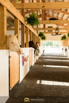 a horse sticking its head over the side of a building