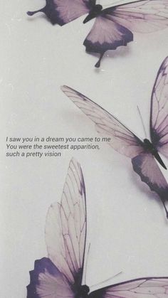 three purple butterflies flying in the air with a quote below them that says, i saw you in a dream you came to me