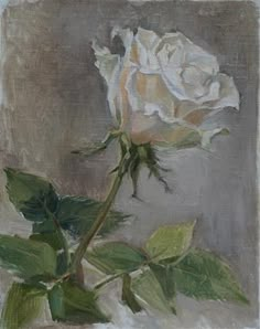 a painting of a white rose with green leaves