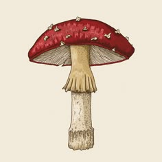 a drawing of a mushroom with red and white spots on it's cap, sitting in front of a beige background