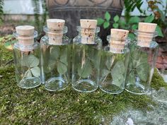 four glass bottles with leaves in them sitting on the ground next to a moss covered rock