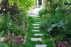 a stone path in the middle of a garden