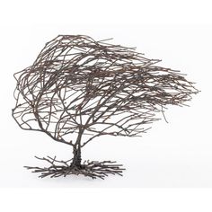 a tree made out of branches on a white background