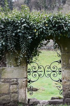 an iron gate with vines growing over it