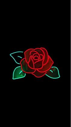 Roses Drawing, Lit Wallpaper, Wallpaper Android, Trendy Wallpaper, Wallpaper Tumblr, Neon Art