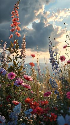 a field full of colorful flowers under a cloudy sky