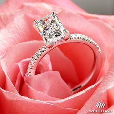 a close up of a rose with a diamond ring on it