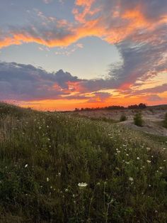 the sun is setting over a field with wildflowers