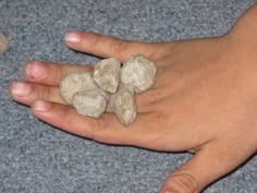 a hand holding three rocks on top of a blue carpeted floor next to a stuffed animal