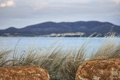 the grass is growing out of the rocks by the water's edge with mountains in the background