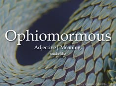 the words ophimomous are written in white on a blue background with an image of a snake's tail