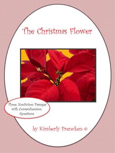 the christmas flower is shown with red flowers in it's center and an oval frame