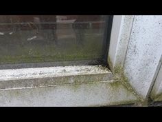 the window sill is covered in mold and water from falling on it's side