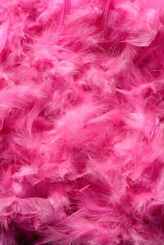 Feather Background, Pink Tumblr Aesthetic, Pastel Red, Pink Life, Pink Vibes, Pink Feathers, Pink Wallpaper Iphone, Pink Decor