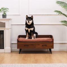 a black and white dog sitting on top of a wooden bed in front of a fireplace