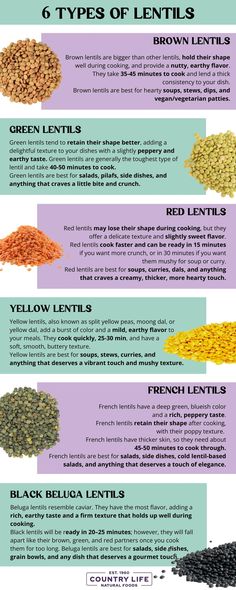 Exploring 6 Types Of Lentils - Their Differences And How To Use Them | Country Life Natural Foods Protein Substitutes, Lentils Nutrition, Vegetarian Patty, Lentils Benefits, Fiber Meals, Plant Based Proteins, Better Eating Habits, Pulses Recipes, Baking Substitutions