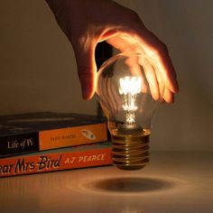 USB Cordless Light Bulb Filament Lamp, Filament Bulb Lighting, Edison Lighting, Love Coupons, Electric Shock, Filament Bulb, Led Light Bulbs, No Heat, Garden Gifts