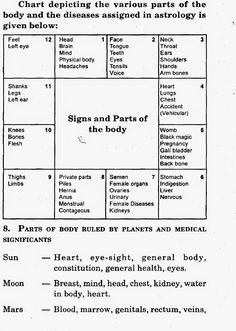 a table with the names and numbers of different types of body parts, including an eyeball