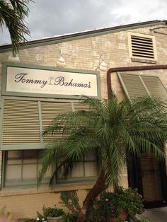 a palm tree in front of a building with a sign that says tommy & banana's