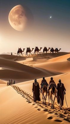 a group of people riding camels across a desert