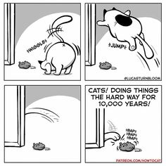 a comic strip about cats doing things the hard way for 10, 000 years?