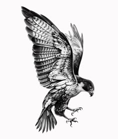 a black and white drawing of a bird with its wings spread out, in flight