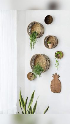 three pineapple shaped baskets are hanging on the wall next to a potted plant