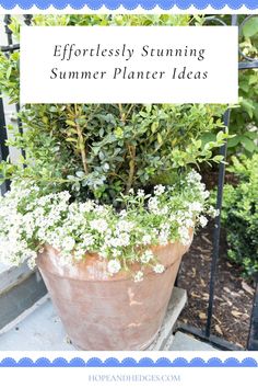 a potted plant with white flowers in it and the words effortlessly summing summer planter ideas