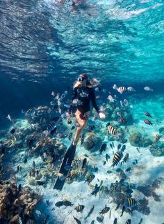 a woman scubas in the ocean surrounded by fish