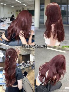 Dyes Hair Ideas, Hair Color Ideas For Tan Skin, Hair Color Ideas For Pale Skin, Korean Hair Color Ideas, Cherry Brown Hair, Hair Color Swatches, Cherry Red Hair, Wine Hair