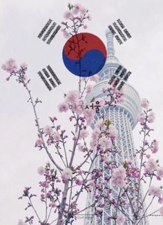 Life In North Korea, Korean Photography, Dream Country, Korea Wallpaper, Hyunjin And In