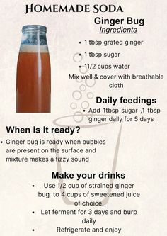 a recipe for homemade soda with instructions on how to make it