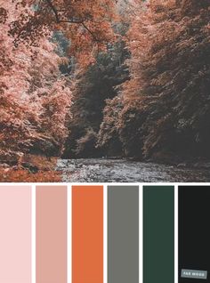 the color palette is peach, green, and brown with an image of trees in the background